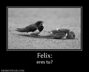 Felix: eres tu?