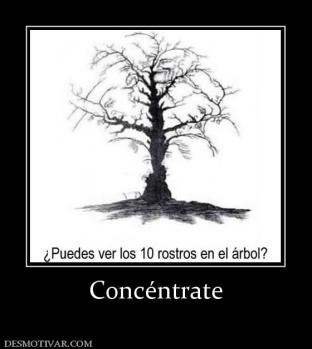Concéntrate