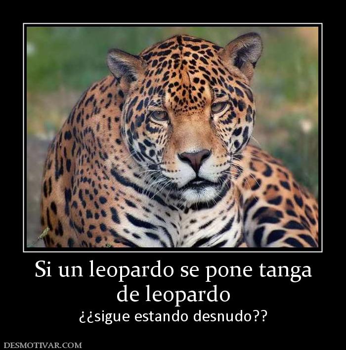 Si un leopardo se pone tanga de leopardo ¿¿sigue estando desnudo??