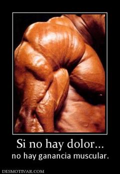 Si no hay dolor... no hay ganancia muscular.