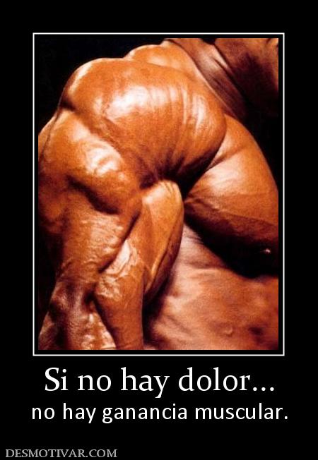 Si no hay dolor... no hay ganancia muscular.