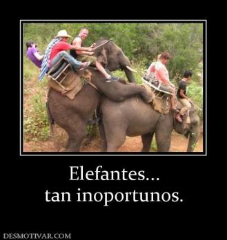 Elefantes... tan inoportunos.