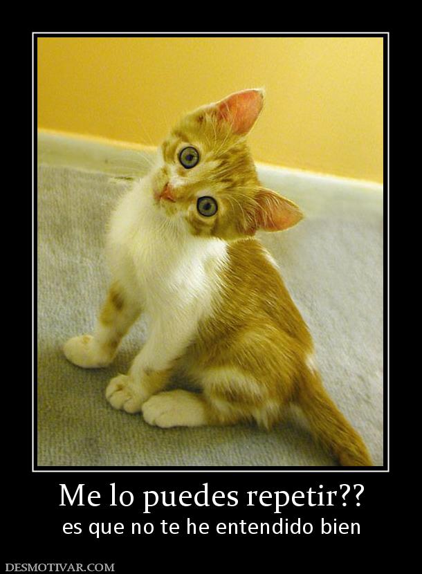 Me lo puedes repetir?? es que no te he entendido bien