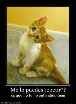 Me lo puedes repetir?? es que no te he entendido bien