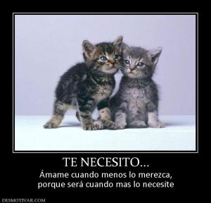 TE NECESITO... Ámame cuando menos lo merezca, porque será cuando mas lo necesite