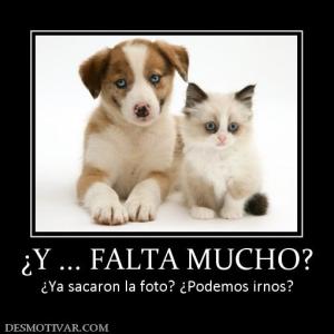 ¿Y ... FALTA MUCHO? ¿Ya sacaron la foto? ¿Podemos irnos?