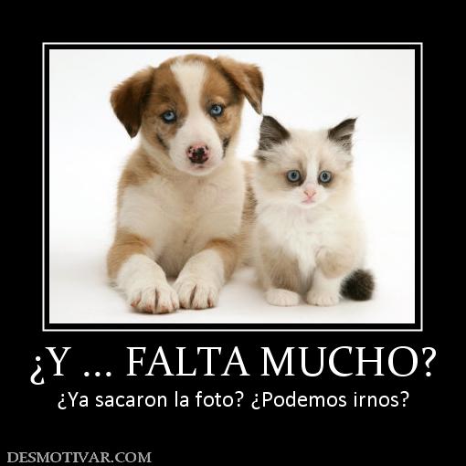 ¿Y ... FALTA MUCHO? ¿Ya sacaron la foto? ¿Podemos irnos?