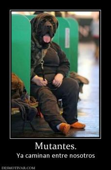 Mutantes. Ya caminan entre nosotros