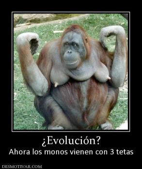 ¿Evolución? Ahora los monos vienen con 3 tetas