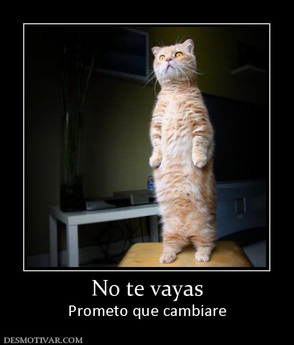 No te vayas Prometo que cambiare
