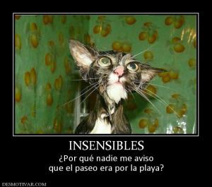 INSENSIBLES ¿Por qué nadie me aviso que el paseo era por la playa?