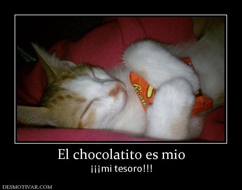 El chocolatito es mio ¡¡¡mi tesoro!!!