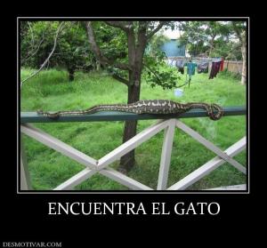 ENCUENTRA EL GATO