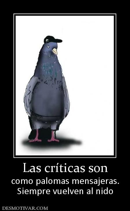 Las críticas son como palomas mensajeras. Siempre vuelven al nido