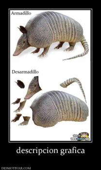 descripcion grafica