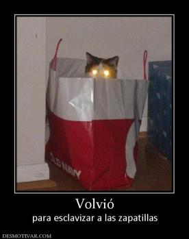 Volvió para esclavizar a las zapatillas