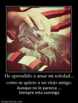 He aprendido a amar mi soledad... como se quiere a un viejo amigo. Aunque no lo parezca ... Siempre esta conmigo