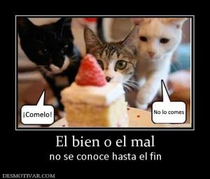 El bien o el mal no se conoce hasta el fin