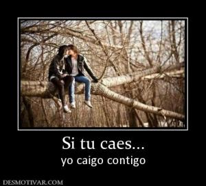 Si tu caes... yo caigo contigo