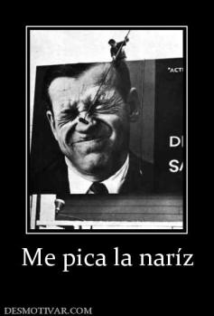Me pica la naríz