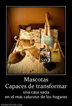 Mascotas Capaces de transformar  una casa vacia en el más caluroso de los hogares