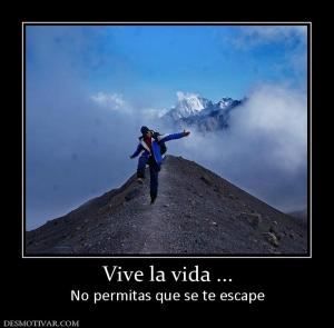 Vive la vida ... No permitas que se te escape