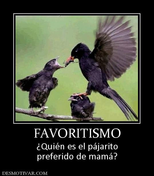FAVORITISMO ¿Quién es el pájarito preferido de mamá?