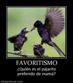 FAVORITISMO ¿Quién es el pájarito preferido de mamá?