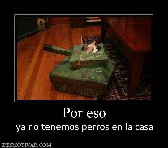 Por eso ya no tenemos perros en la casa