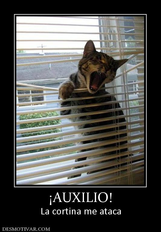 ¡AUXILIO! La cortina me ataca
