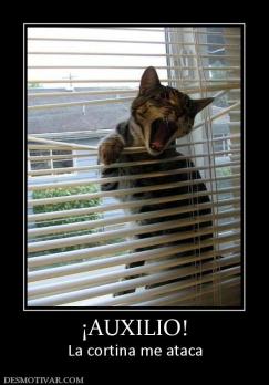 ¡AUXILIO! La cortina me ataca