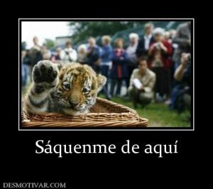 Sáquenme de aquí