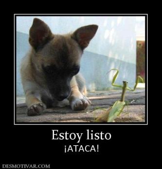 Estoy listo ¡ATACA!