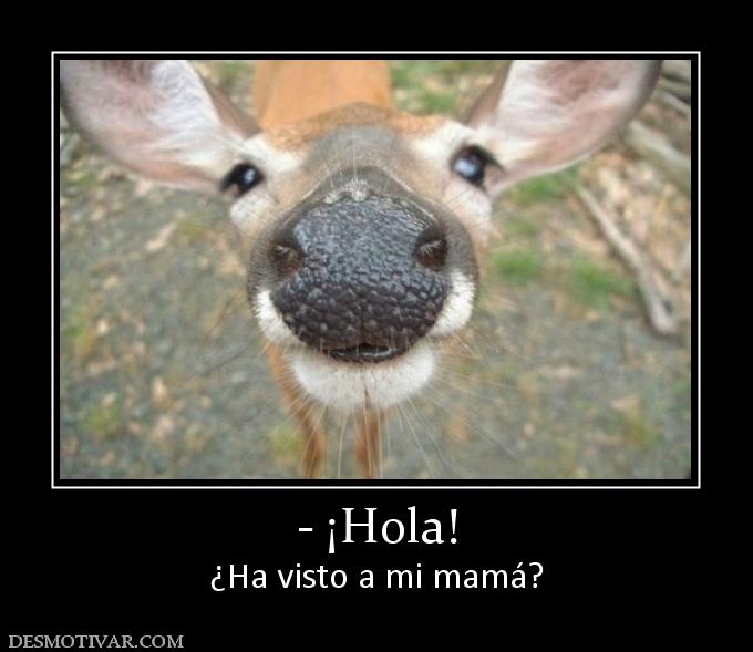 - ¡Hola! ¿Ha visto a mi mamá?