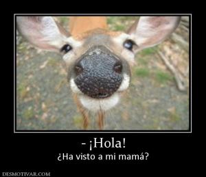 - ¡Hola! ¿Ha visto a mi mamá?