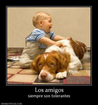 Los amigos siempre son tolerantes
