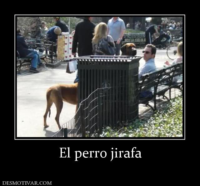 El perro jirafa