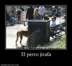 El perro jirafa