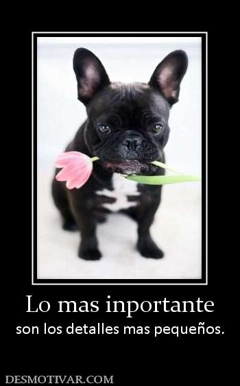 Lo mas inportante son los detalles mas pequeños.