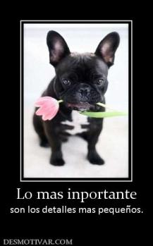 Lo mas inportante son los detalles mas pequeños.