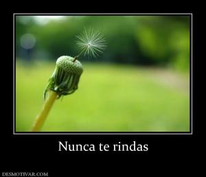 Nunca te rindas