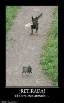 ¡RETIRADA! El perro esta armado ...