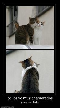 Se los ve muy enamorados y acaramelados