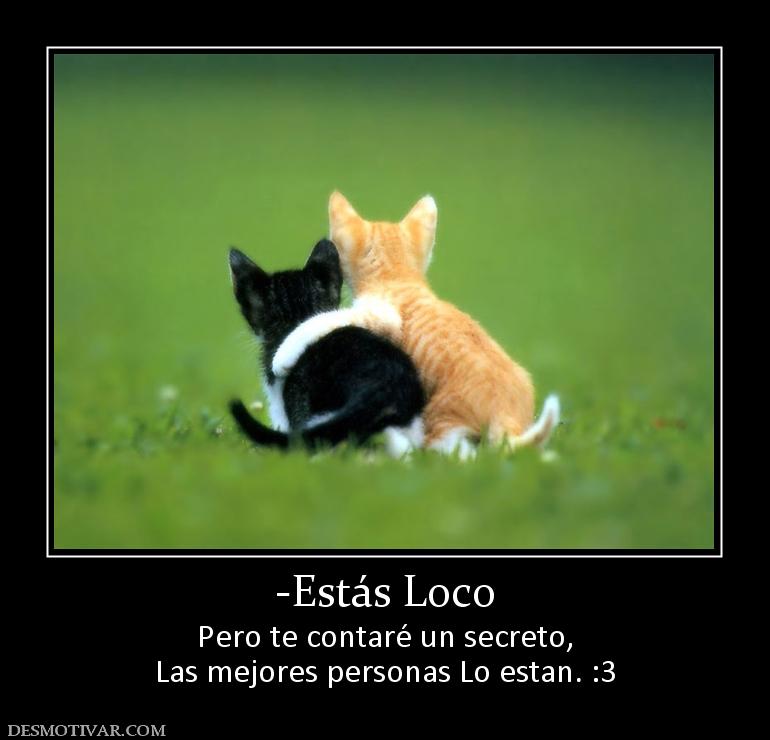 -Estás Loco Pero te contaré un secreto, Las mejores personas Lo estan. :3