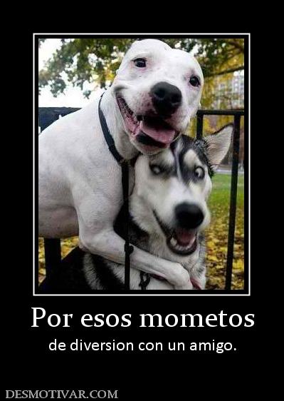 Por esos mometos de diversion con un amigo.