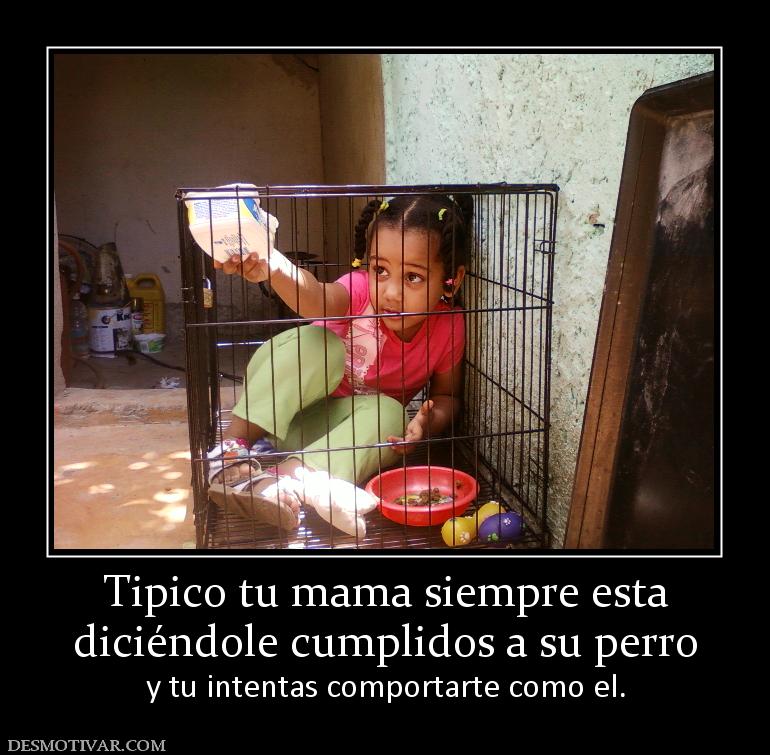 Tipico tu mama siempre esta diciéndole cumplidos a su perro y tu intentas comportarte como el.