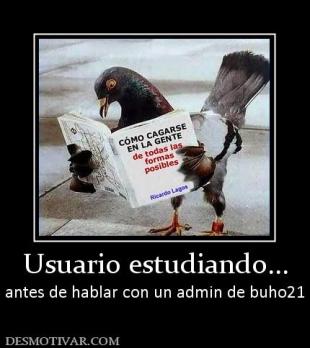 Usuario estudiando... antes de hablar con un admin de buho21