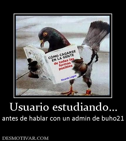 Usuario estudiando... antes de hablar con un admin de buho21