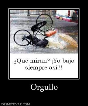 Orgullo