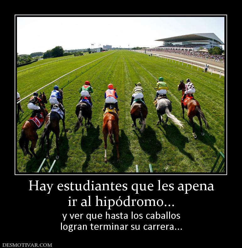 Hay estudiantes que les apena ir al hipódromo... y ver que hasta los caballos logran terminar su carrera...